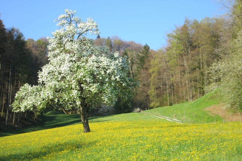 Landschaft